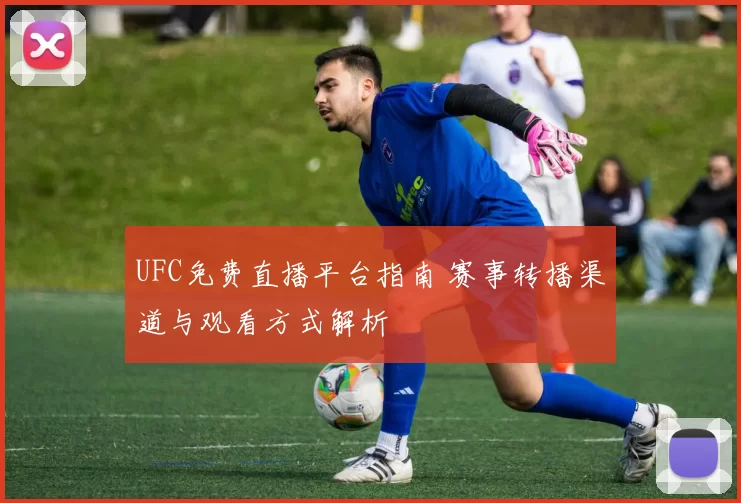 UFC免费直播平台指南 赛事转播渠道与观看方式解析