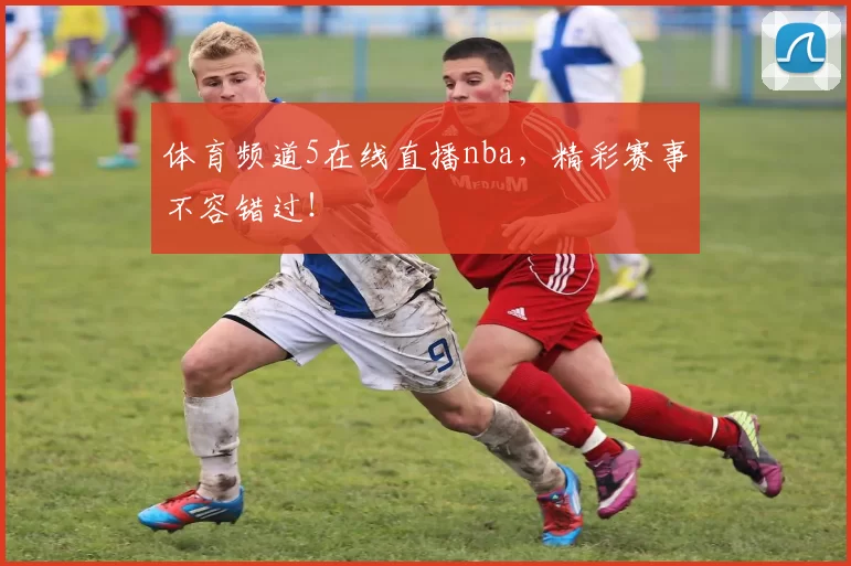 体育频道5在线直播nba，精彩赛事不容错过！