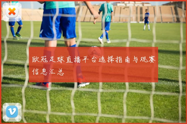 欧冠足球直播平台选择指南与观赛信息汇总
