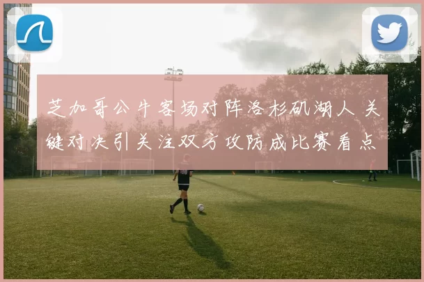 芝加哥公牛客场对阵洛杉矶湖人 关键对决引关注双方攻防成比赛看点