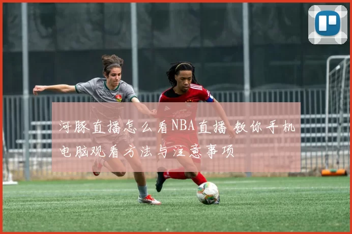 河豚直播怎么看NBA直播 教你手机电脑观看方法与注意事项