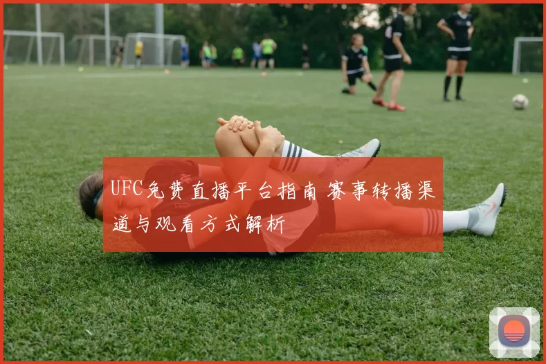 UFC免费直播平台指南 赛事转播渠道与观看方式解析