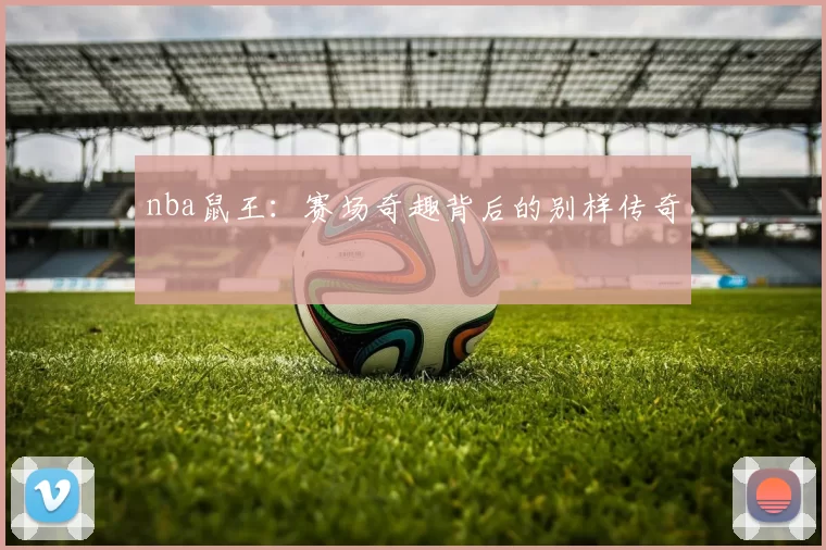 nba鼠王：赛场奇趣背后的别样传奇